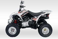 Maxxer 250